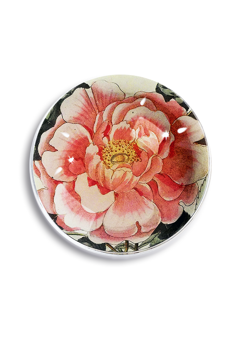 Jennifer Garner Peony Crystal Dome Paperweight