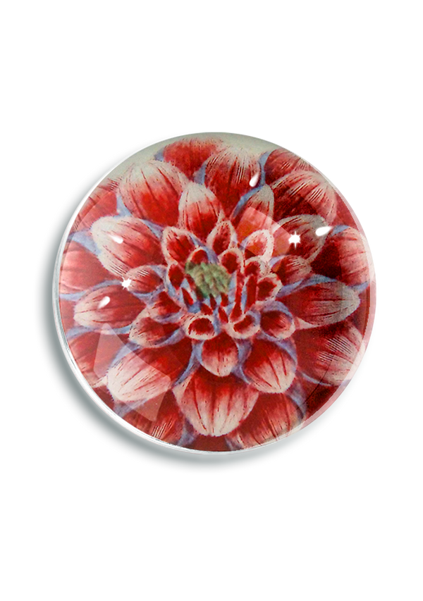 Fleurel Pink Watermelon Dahlia Crystal Dome Paperweight