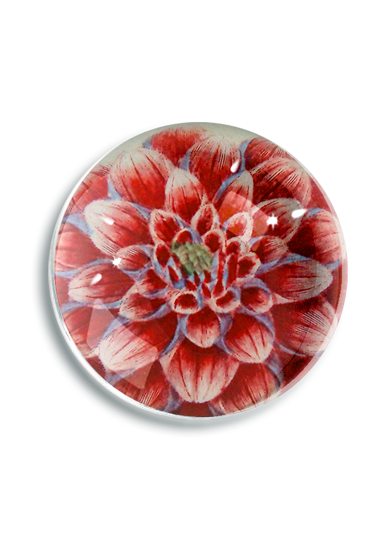 Fleurel Pink Watermelon Dahlia Crystal Dome Paperweight