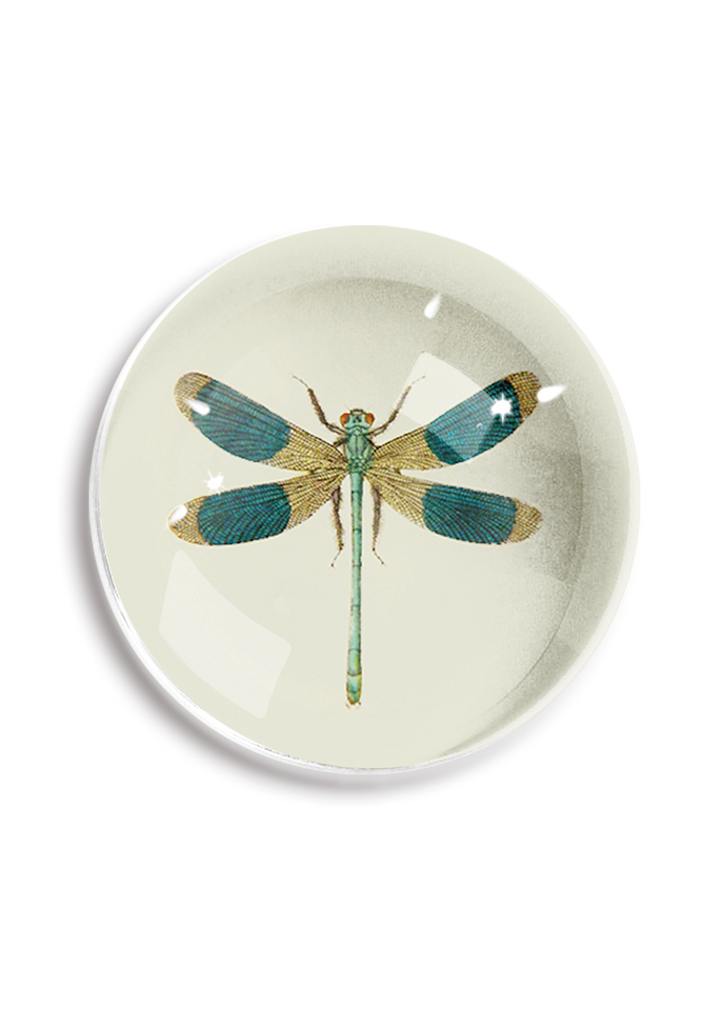 Min. Case Pack of 2 // Lucky Blue Dragonfly Dome Paperweight