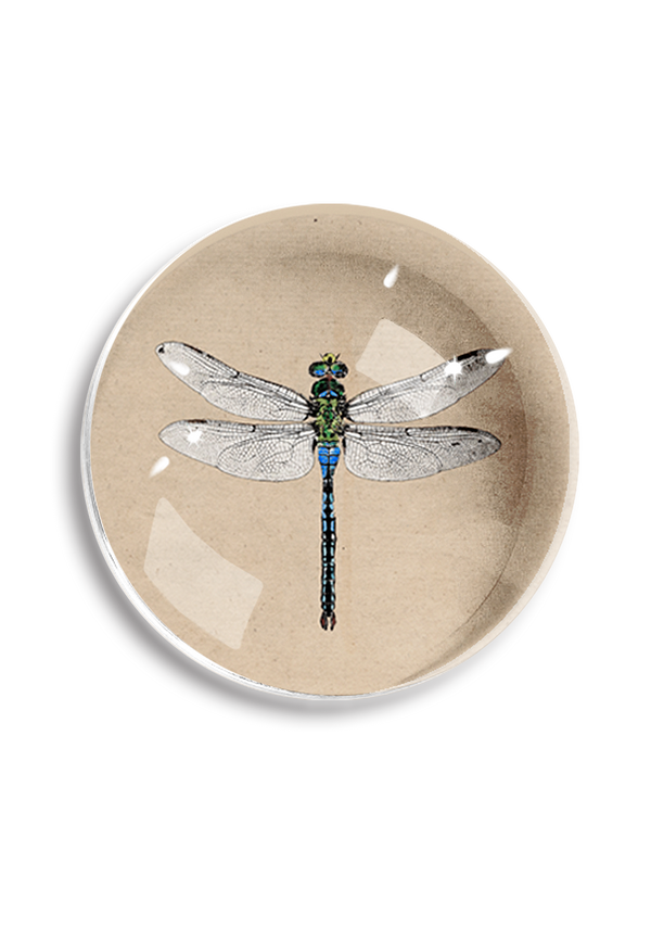 Emerald Green Crystal Dragonfly Dome Paperweight