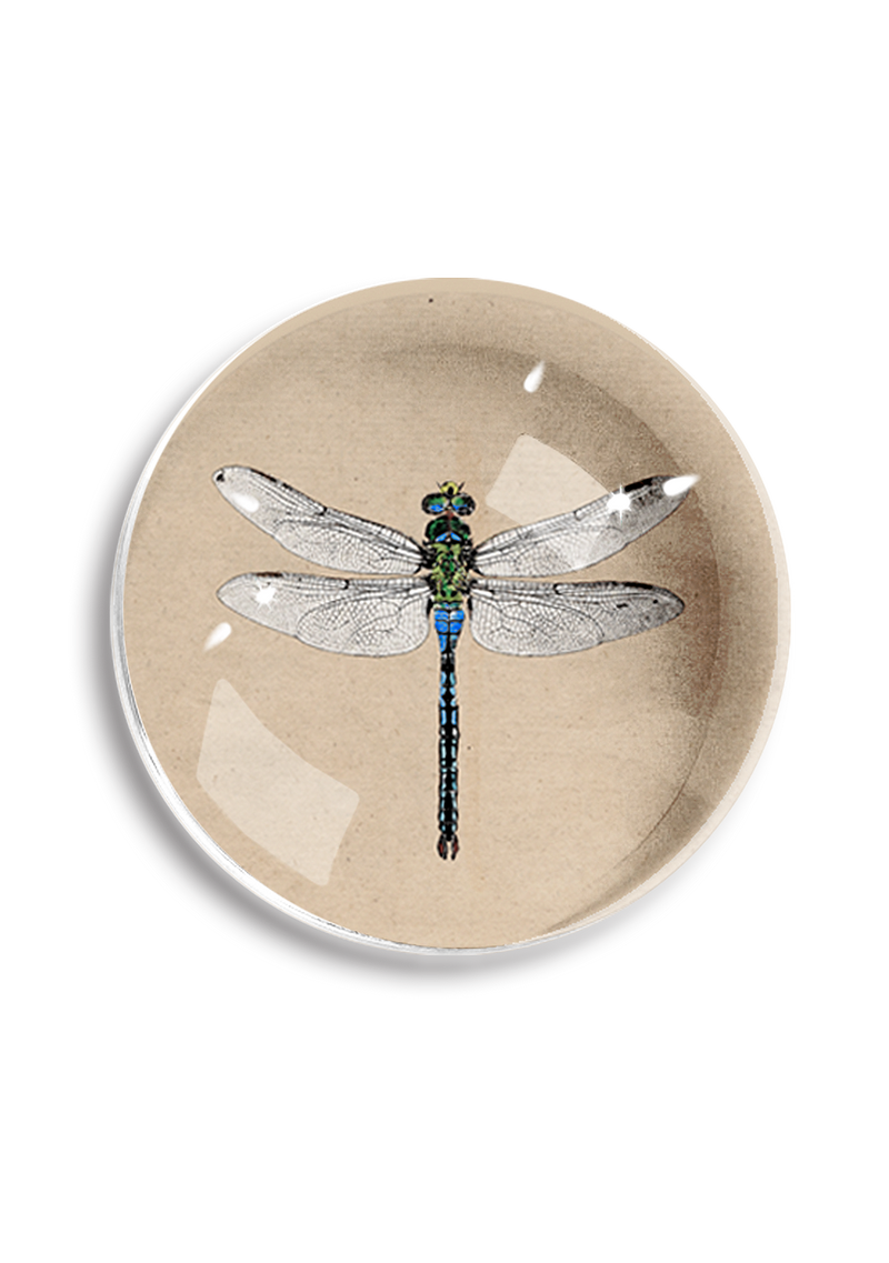 Emerald Green Crystal Dragonfly Dome Paperweight
