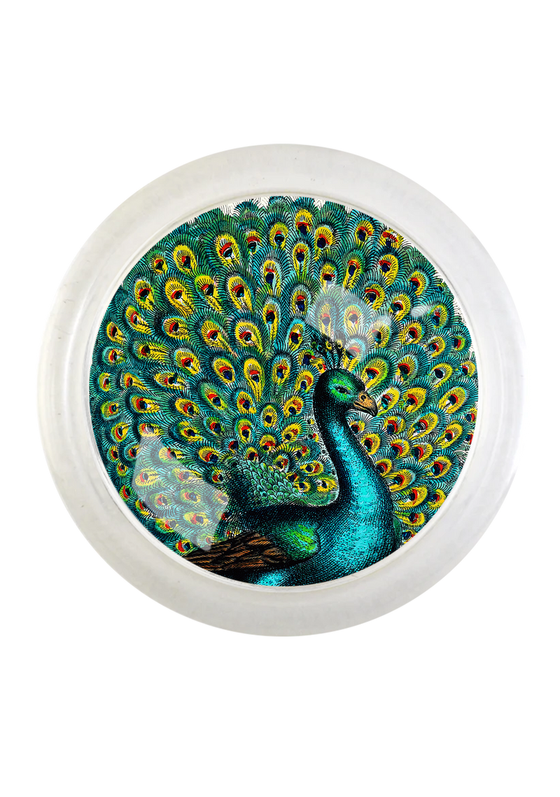 Proud Peacock 4" Round Glass Coaster