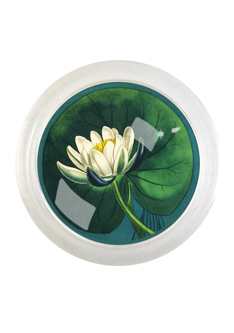 East Hampton Water Lily 4" Round Glass Coaster