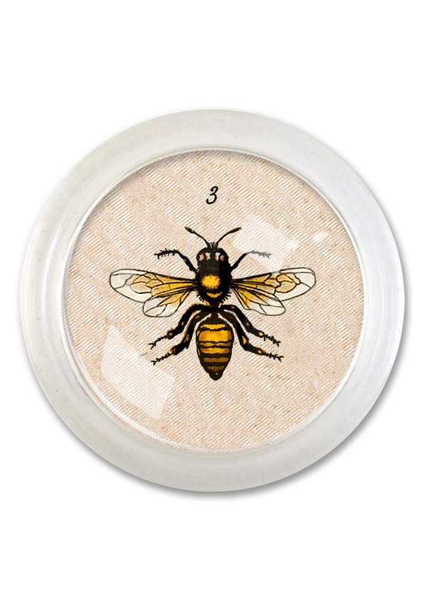 #3 Bee 4" Round Glass Coaster