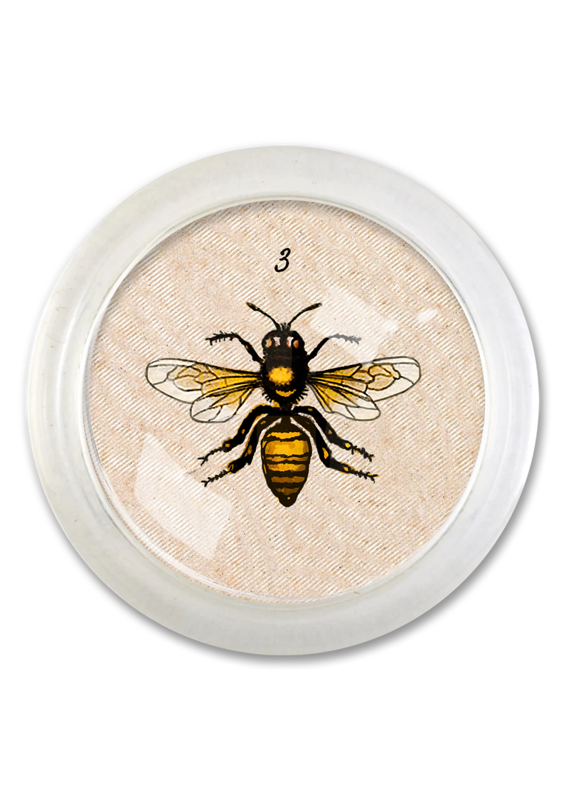#3 Bee 4" Round Glass Coaster