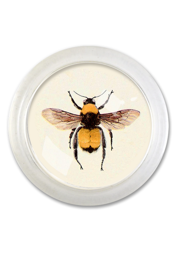 Golden Bumblebee 4" Round Glass Coaster