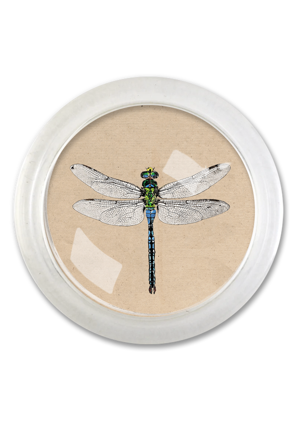 Emerald Green Crystal Dragonfly 4" Round Glass Coaster