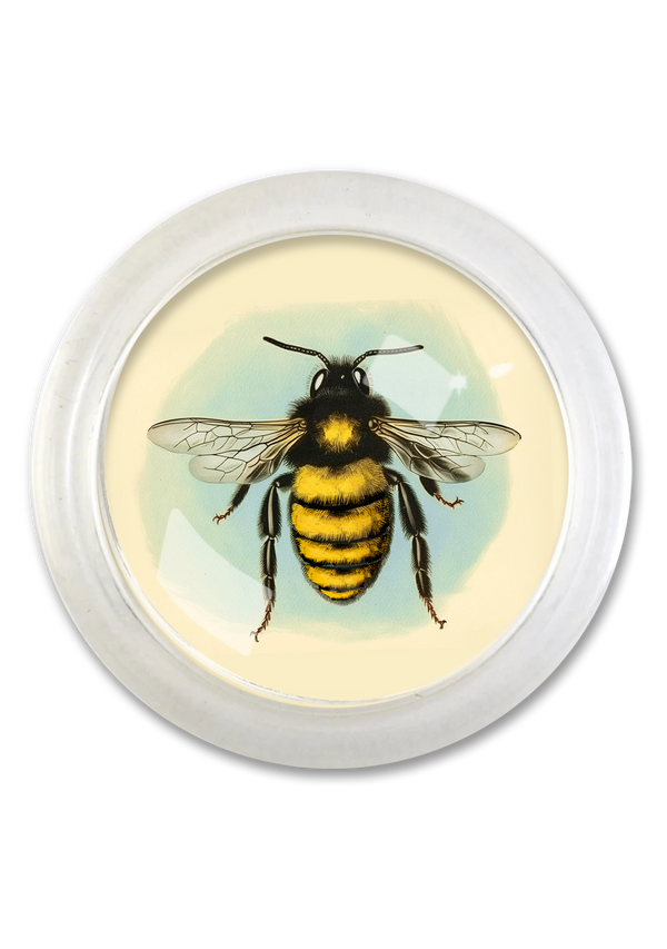 Blue Sky Golden Honeybee 4" Round Glass Coaster