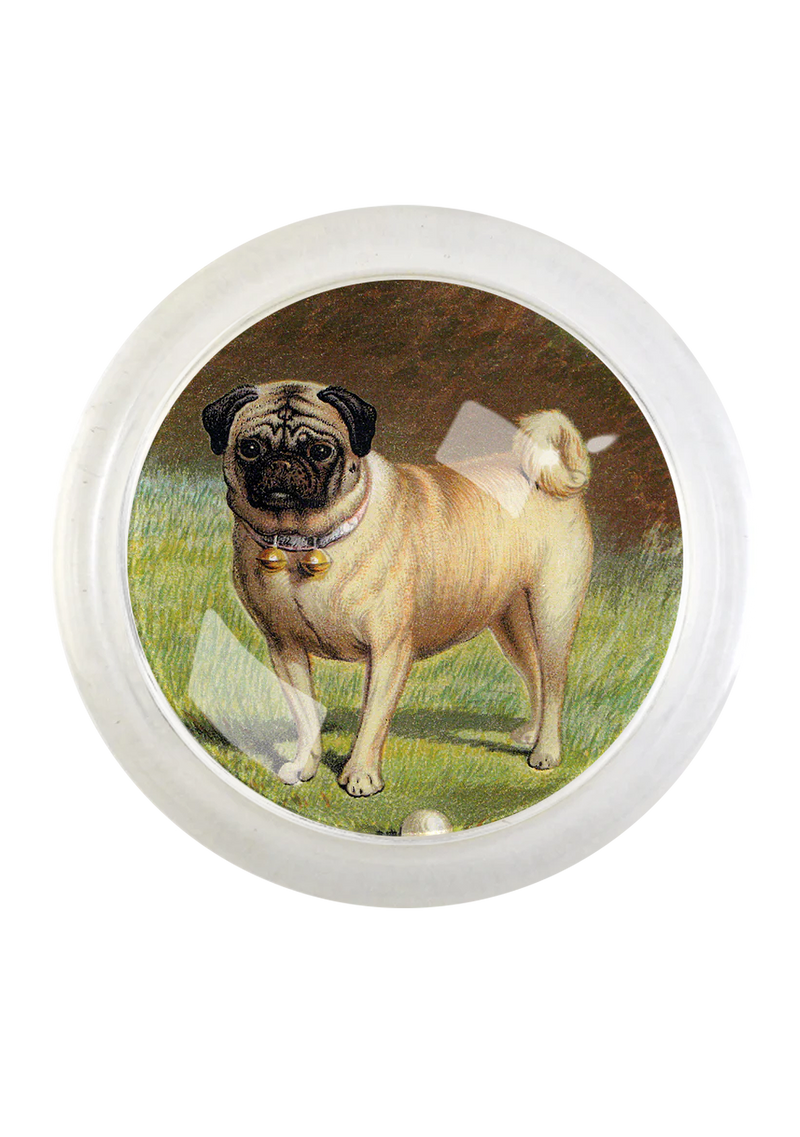 Vintage Pug Dog Round Glass 4" Coaster