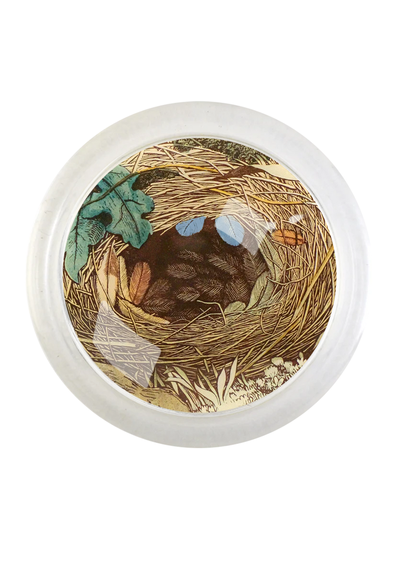 Feathered Nest Round Glass 4" Coaster