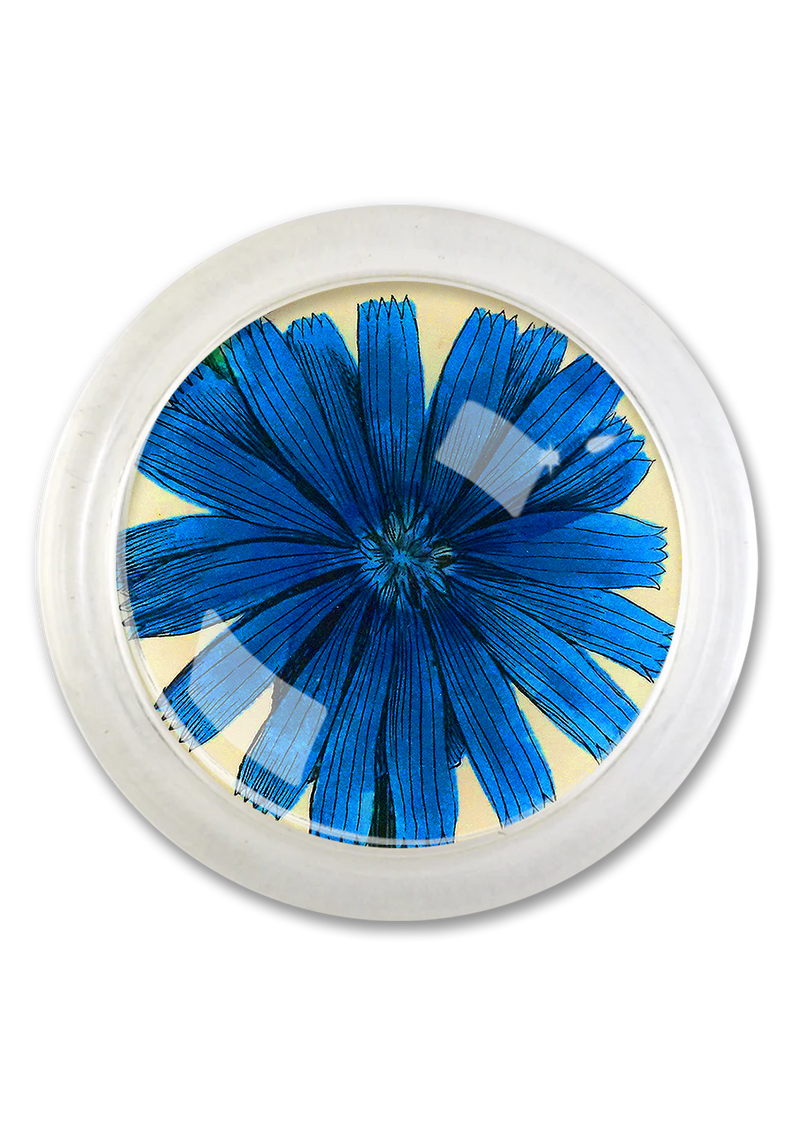 Blue Wildflower 4" Round Glass Coaster