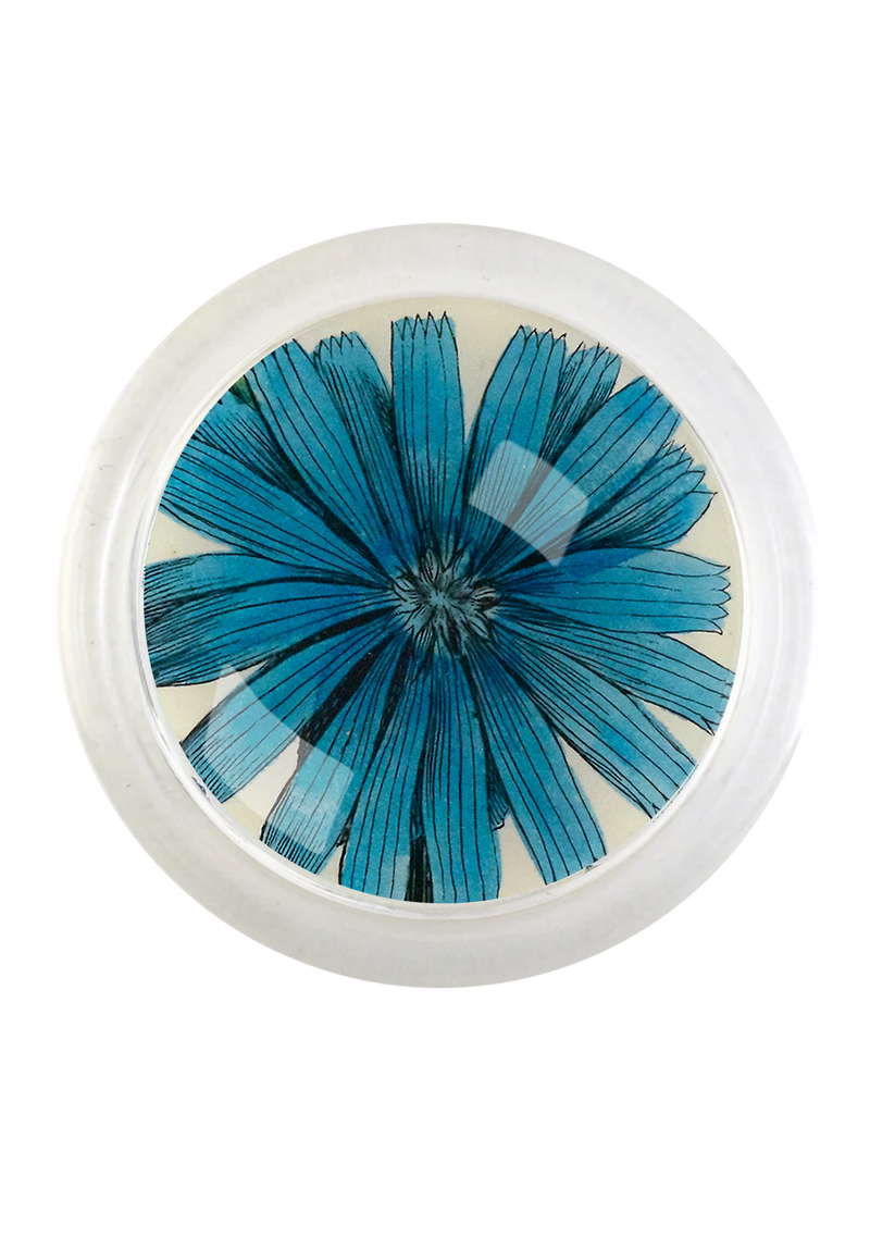 Blue Wildflower 4" Round Glass Coaster