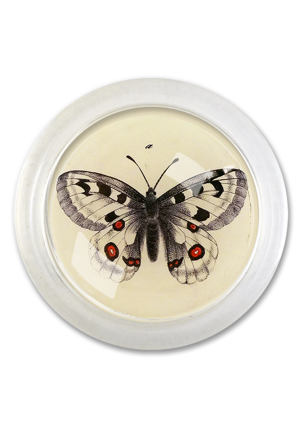 Woodland Butterfly 4" Round Glass Coaster