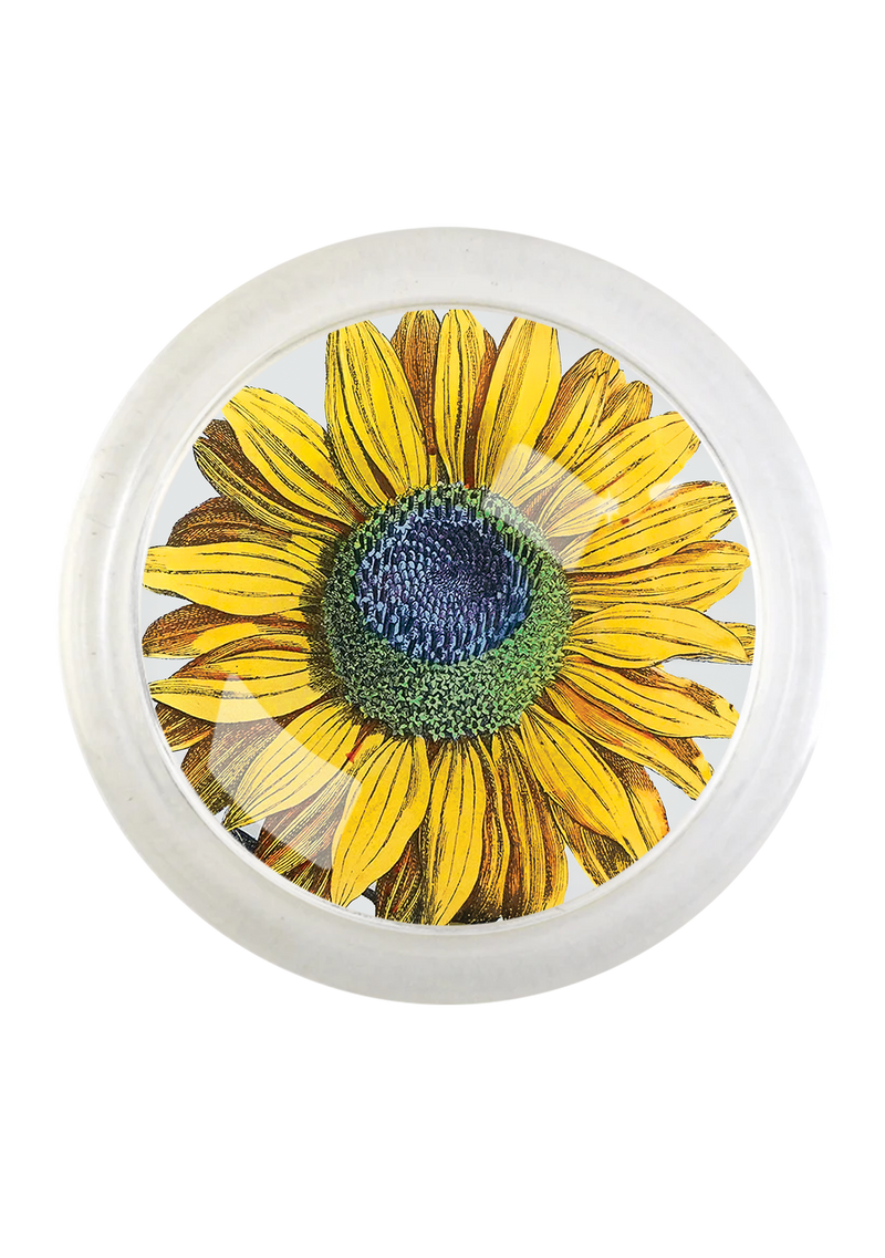 Amagansett Sunflower 4" Round Glass Coaster