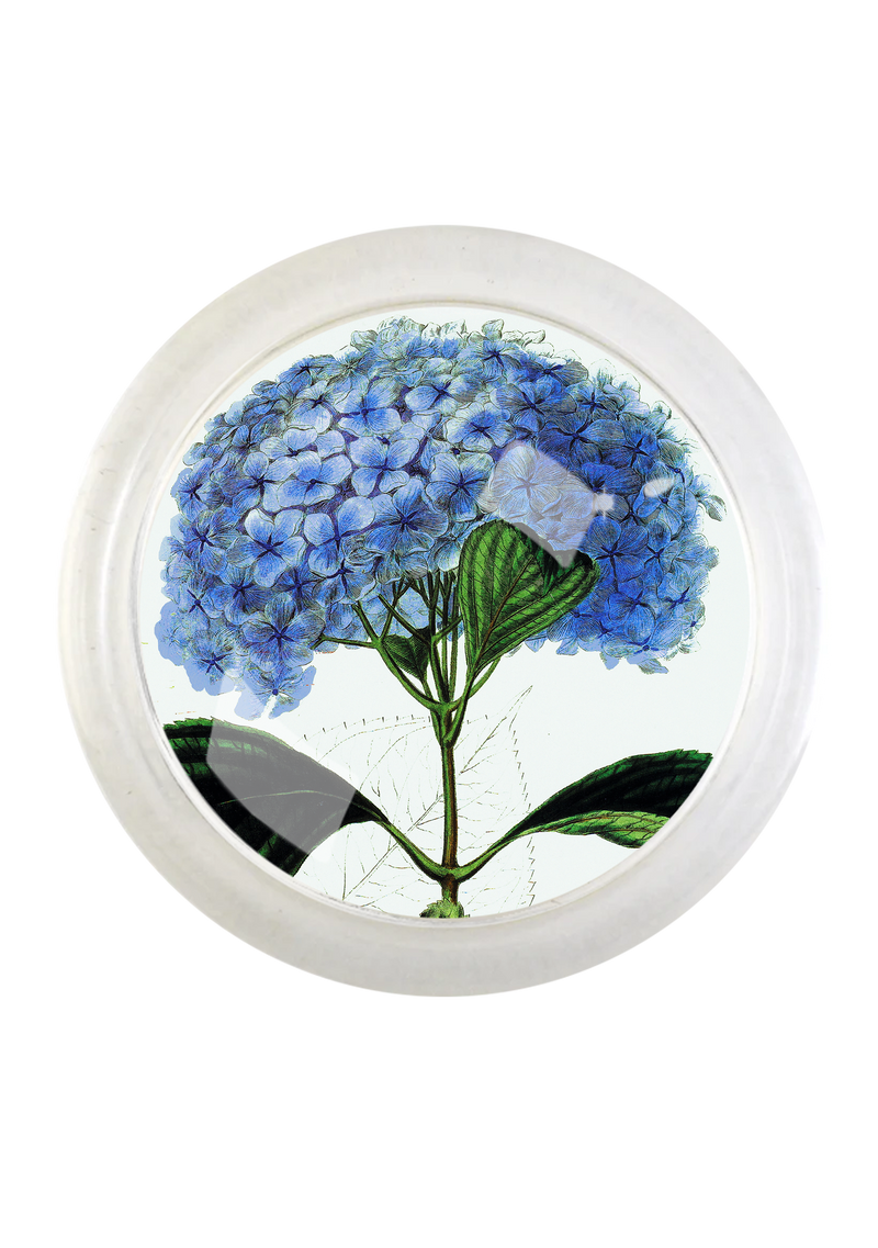 Blue Hydrangea 4" Round Glass Coaster