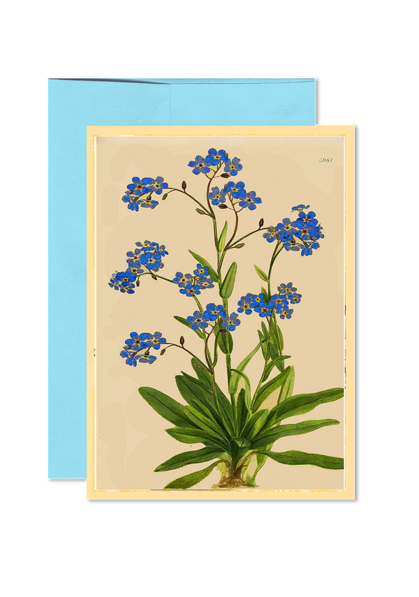 Forget Me Nots Folded Greeting Card