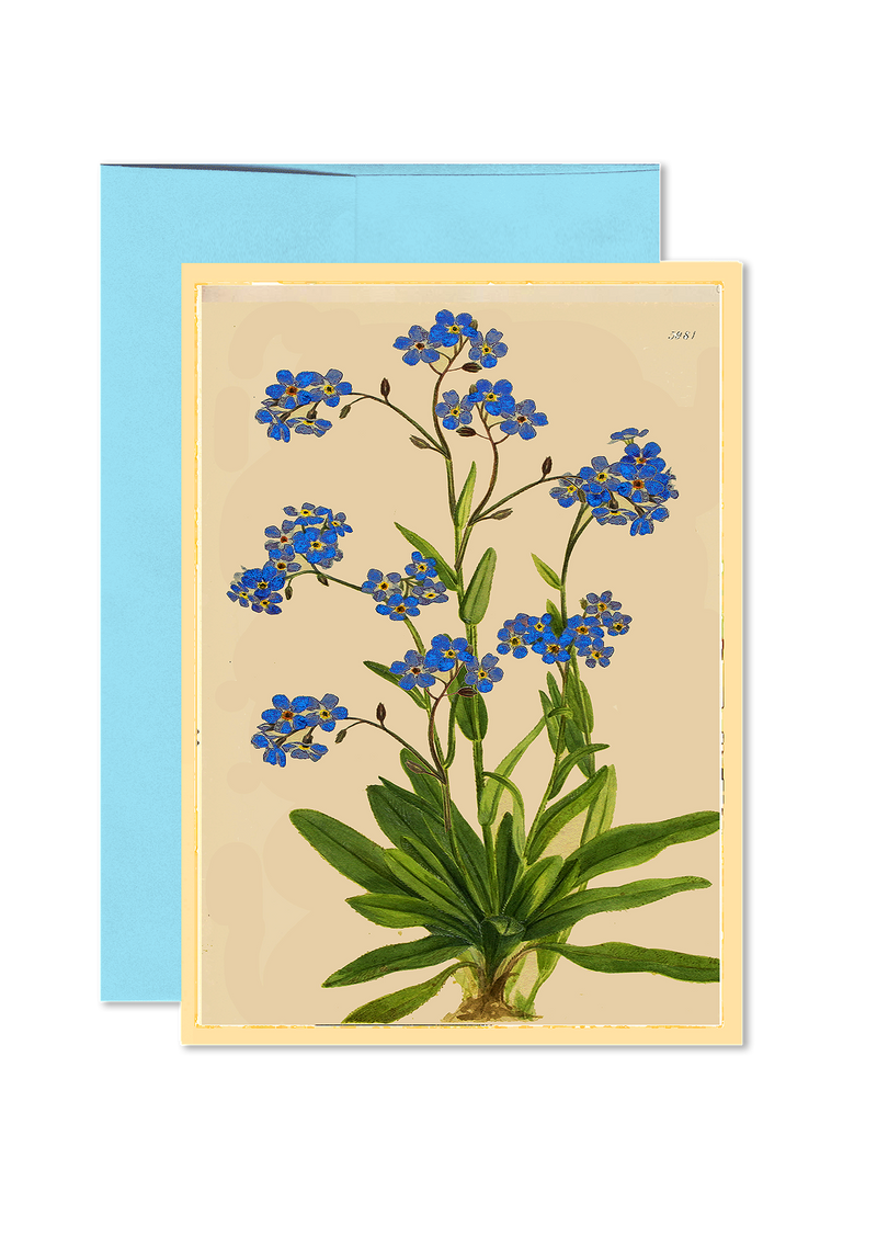 Forget Me Nots Folded Greeting Card