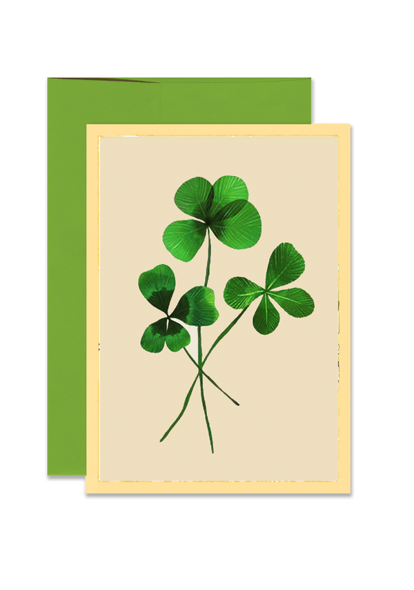Three Lucky Clover Folded Greeting Card