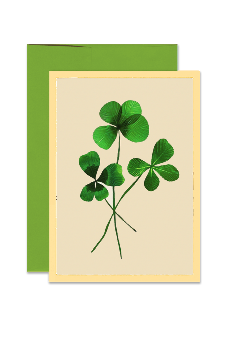 Three Lucky Clover Folded Greeting Card