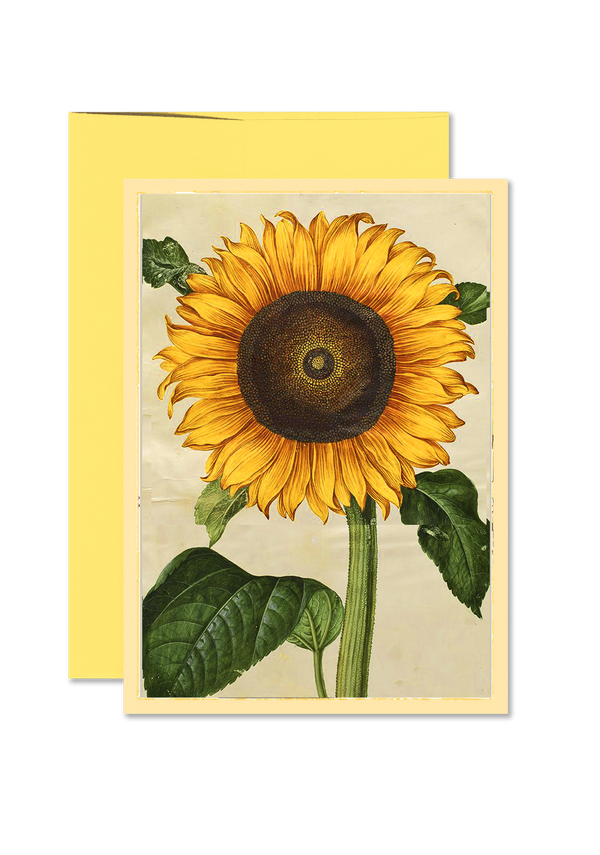 Bright Sunflower Folded Greeting Card