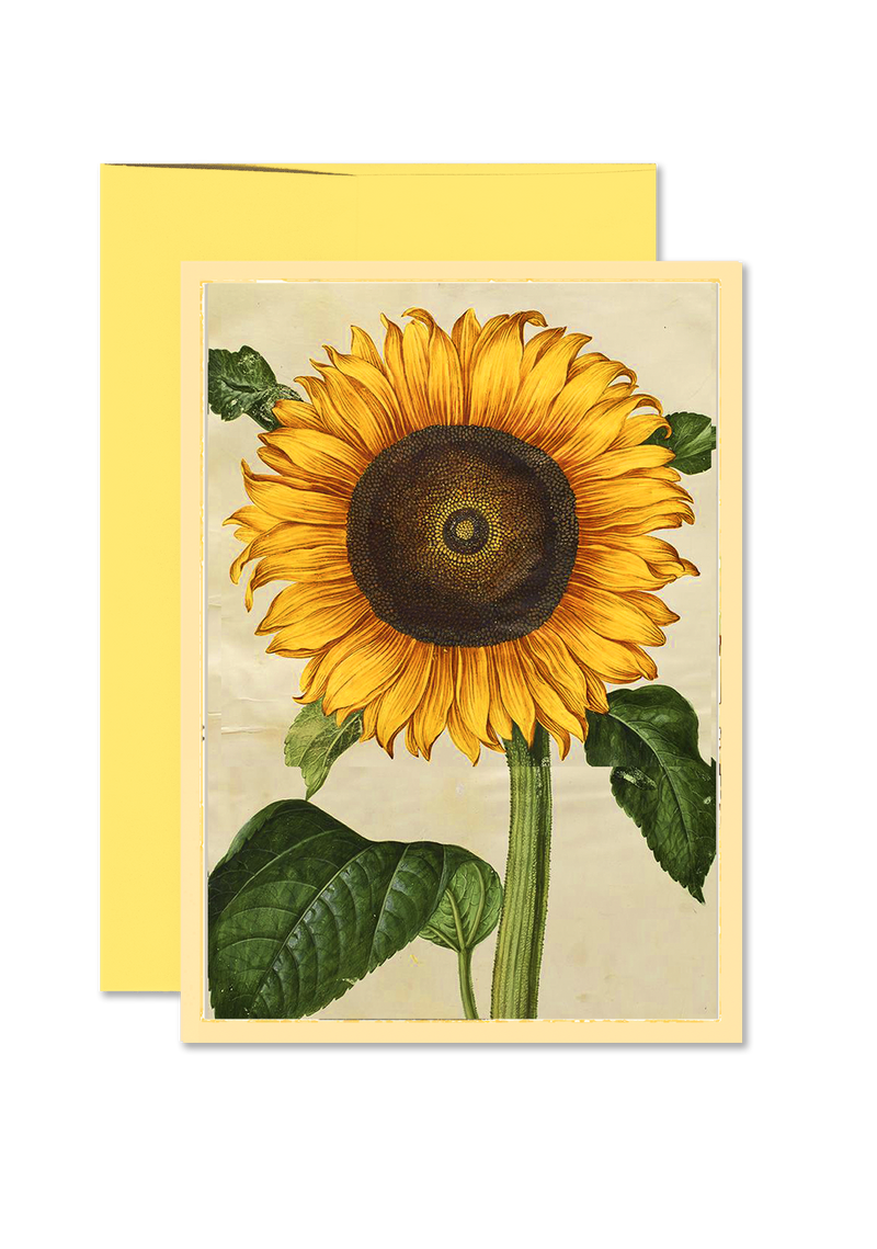Bright Sunflower Folded Greeting Card
