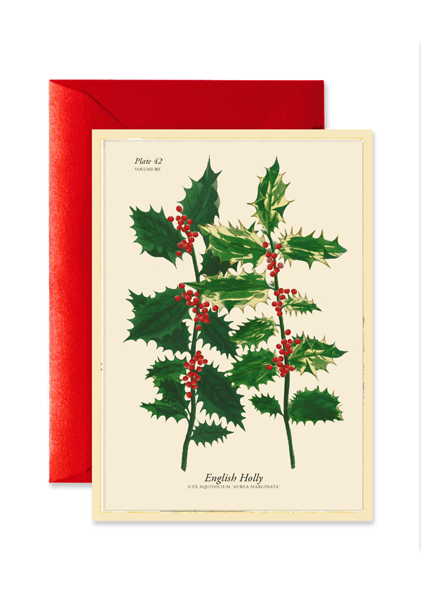 English Holly Blank A7 Greeting Card
