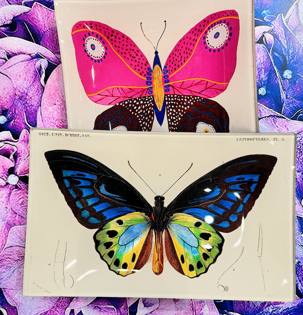Tropical Butterfly No. 6 Decoupage Glass Tray