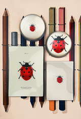 Red English Ladybug Decoupage Glass Tray