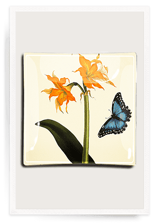 Bensgarden.com | Amaryllis And Butterfly Decoupage Glass Tray - Bensgarden.com