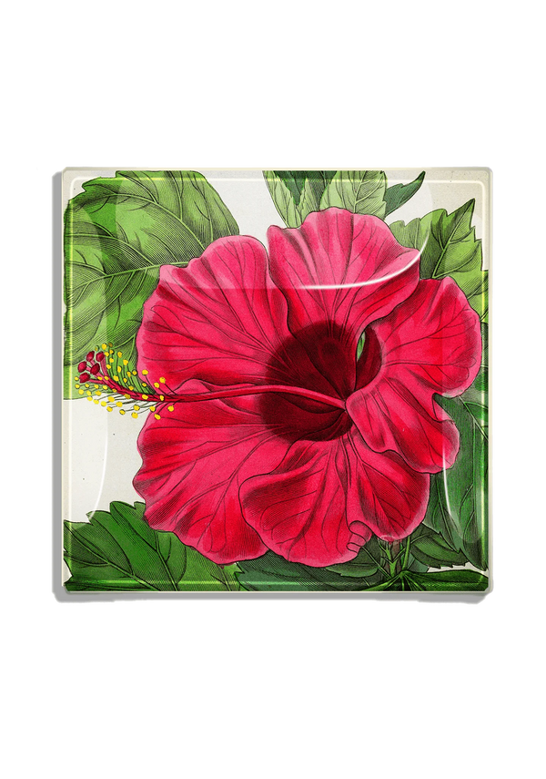 Argentinian Pink Hibiscus Flower Decoupage Glass Tray