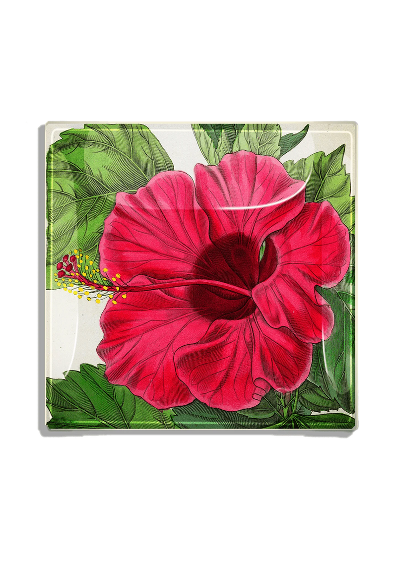 Argentinian Pink Hibiscus Flower Decoupage Glass Tray