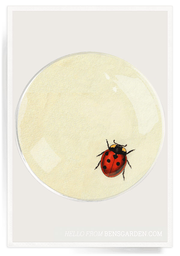 Bensgarden.com | Ben's Garden | Ladybug Round Decoupage Glass Tray - Bensgarden.com