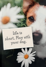 Life Is Short. Play With Your Dog Decoupage Glass Tray
