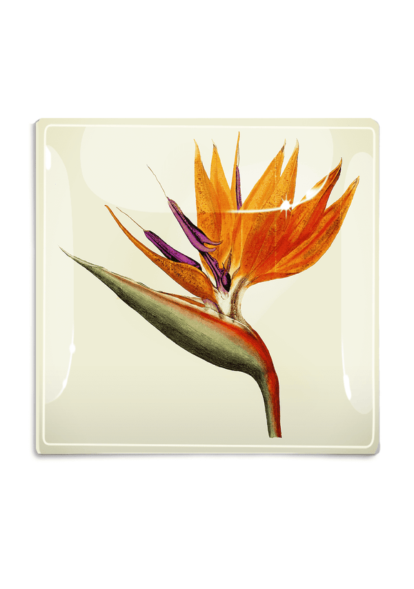 Bensgarden.com | Bird Of Paradise Decoupage Glass Tray - Bensgarden.com