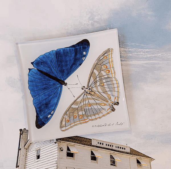 Bensgarden.com | Blue Butterfly Pair Decoupage Glass Tray - Bensgarden.com