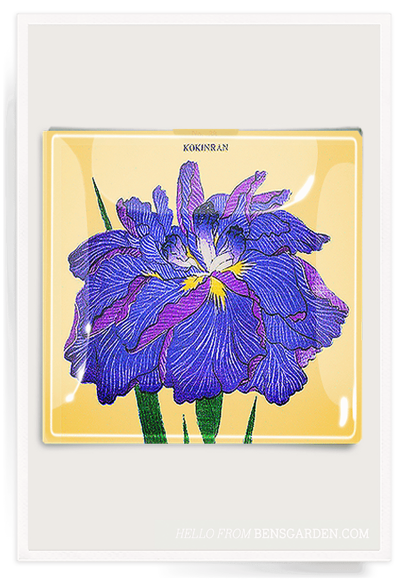 Bensgarden.com | Blue Iris Blossom Decoupage Glass Tray - Bensgarden.com