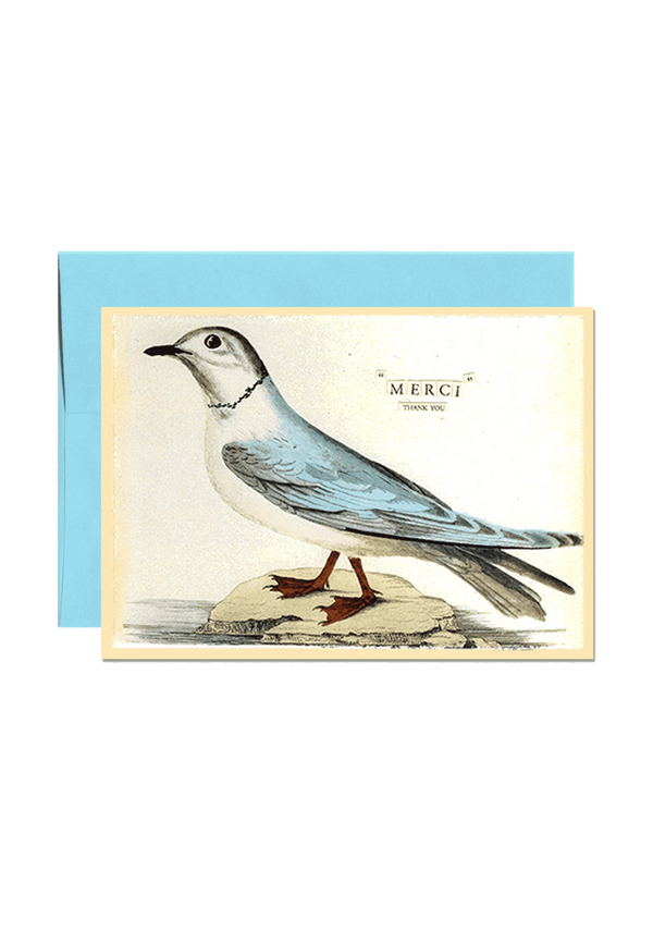 Min. Case Pack of 6 // Bluebird Merci Folded Greeting Card