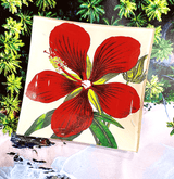 Crimson Hibiscus Flower Decoupage Glass Tray - Wholesale Ben's Garden 