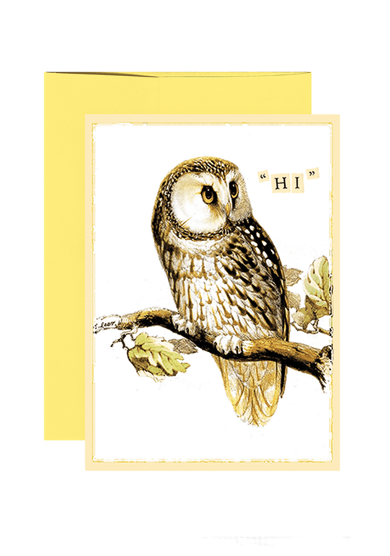 Min. Case Pack of 6 // Hi Owl Folded Greeting Card