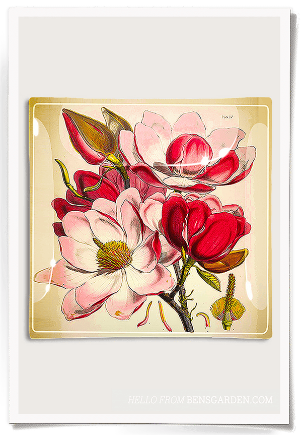 Bensgarden.com | Emilie Pink Magnolia Decoupage Glass Tray - Bensgarden.com