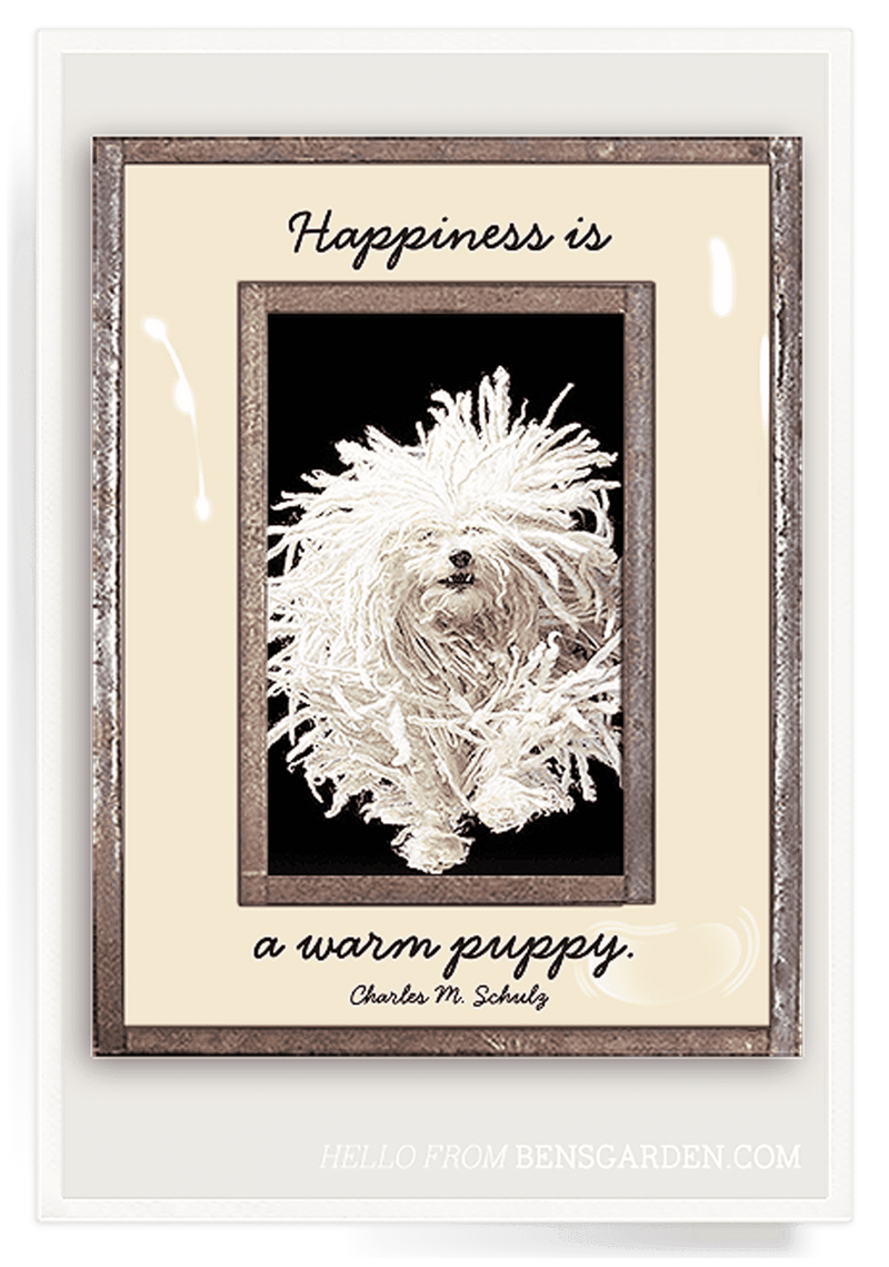 Bensgarden.com | Happiness Is A Warm Puppy Copper & Glass Photo Frame - Bensgarden.com