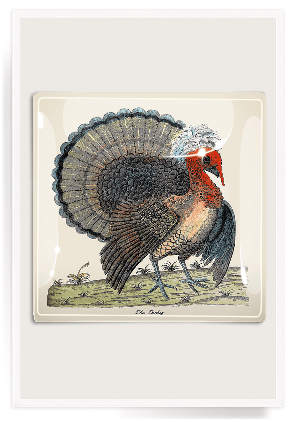 Bensgarden.com | Heritage Oyster Bay Turkey Decoupage Glass Tray - Bensgarden.com