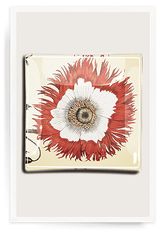 Bensgarden.com | Lace Poppy Decoupage Glass Tray - Bensgarden.com