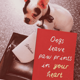 Bensgarden.com | Min. Case Pack // Dogs May Leave Paw Prints Greeting Card, Single Folded Card or Boxed Set of 8 - Bensgarden.com