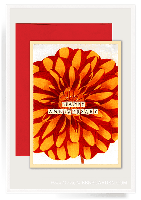 Bensgarden.com | Red Dahlia Anniversary Folded Greeting Card // Min. Case Pack of 6 - Bensgarden.com