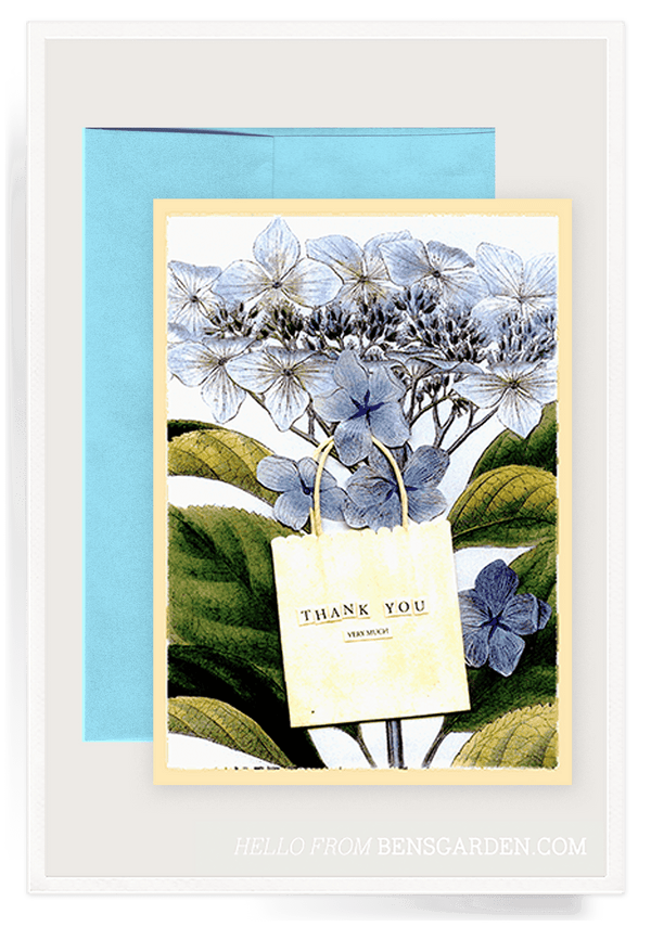 Bensgarden.com | Thank You Hydrangea Folded Greeting Card // Min. Case Pack of 6 - Bensgarden.com