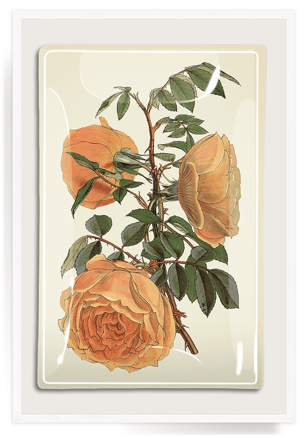 Bensgarden.com | Peach Rose Blossoms Decoupage Glass Tray - Bensgarden.com