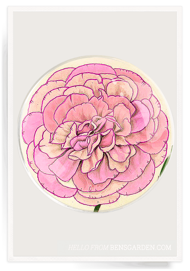 Bensgarden.com | Pink Flower Round Decoupage Glass Tray - Bensgarden.com
