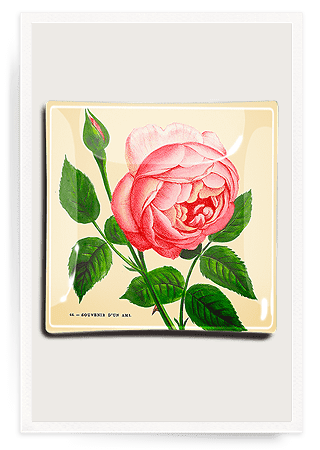 Bensgarden.com | Pink Rose Blossom Decoupage Glass Tray - Bensgarden.com